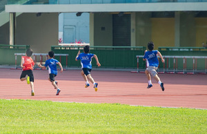 Спортивные школы получат статус образовательных организаций